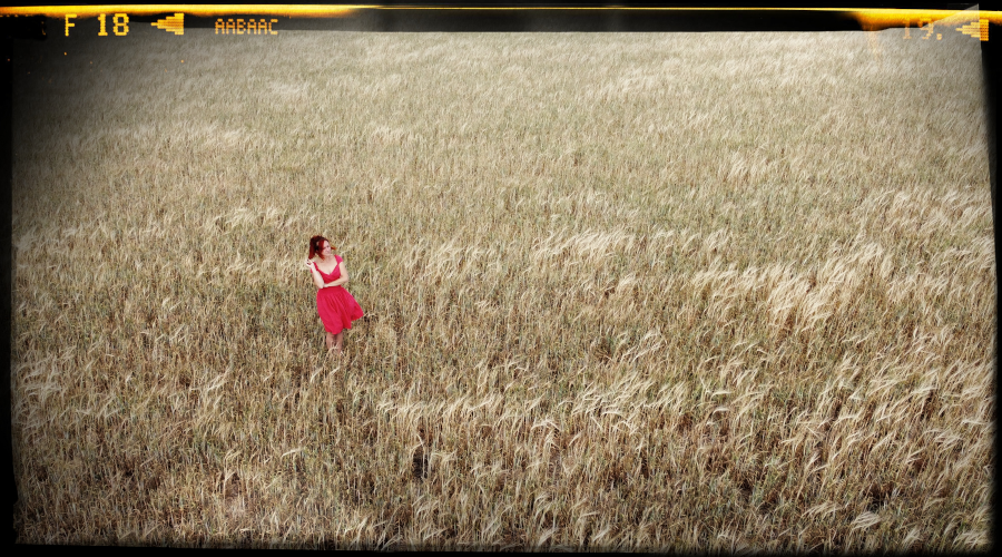 MiM-studio video production Calgary